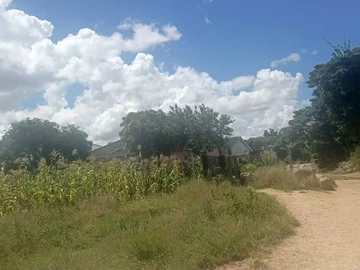 Land