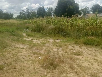 Land