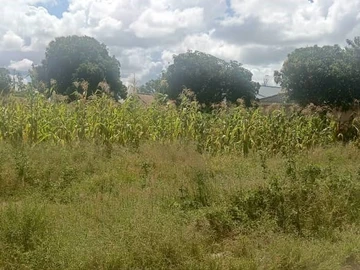 Land