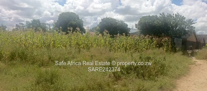 Stands for Sale in Timire Park, Ruwa