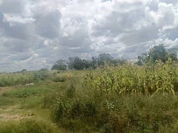 Land