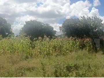 Land