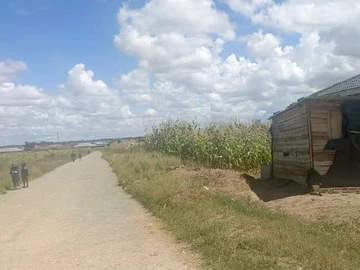 Land