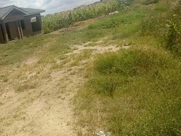 Land