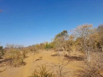 Farm & Agricultural Land